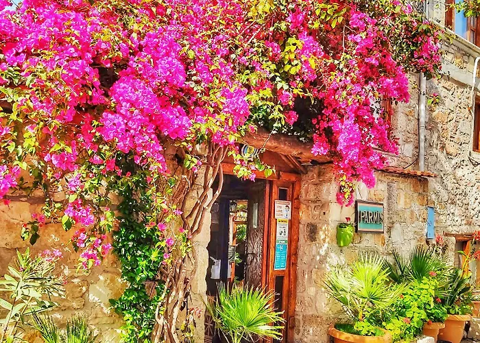 Parmis Boutique House Πανσιόν