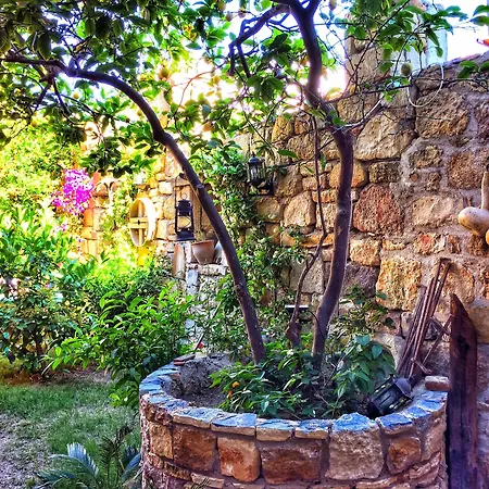 Guest house Parmis Boutique House 3*